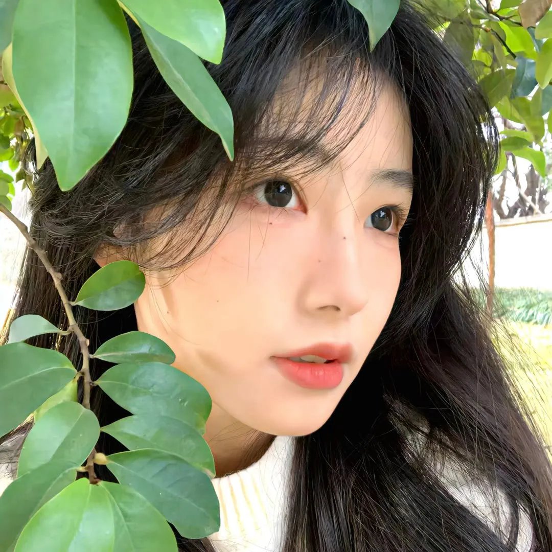 一只小蜘蛛