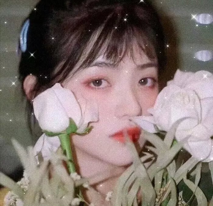 烽火岁月志