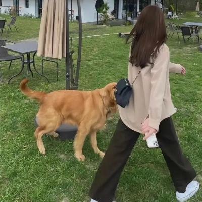 伊万娜